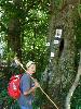 20110816BodajkOroszlany_9.JPG