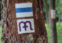 IMG_9959_.jpg